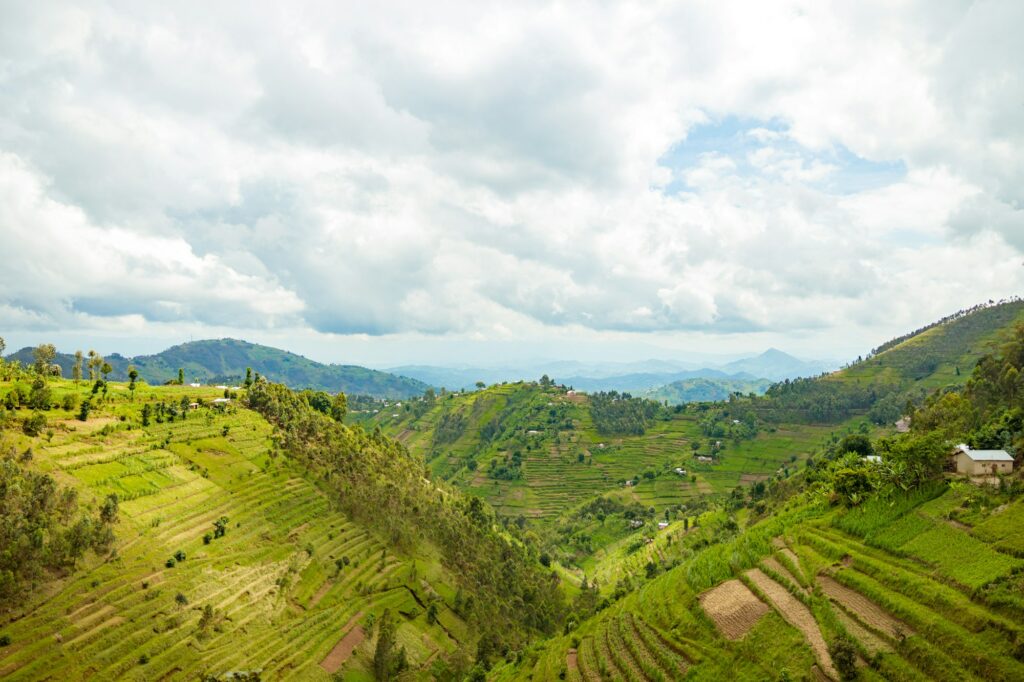 Nyungwe Forest National Park - Beautiful rural landscape with agricultures terraces, Rwanda