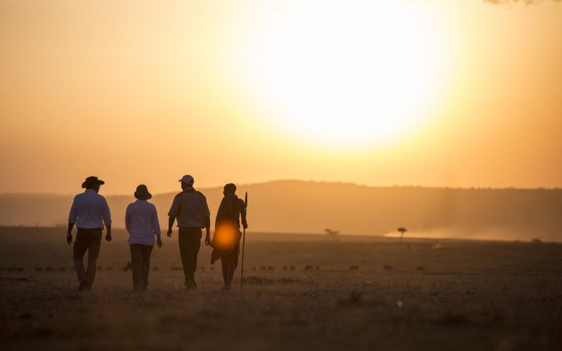Elewana Elephant Pepper Camp Activities Wildlife