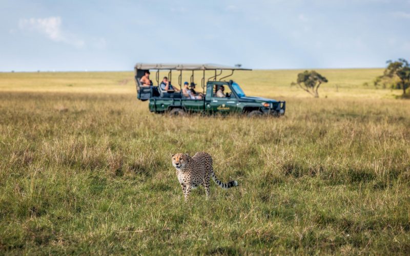 Elewana Elephant Pepper Camp_2
