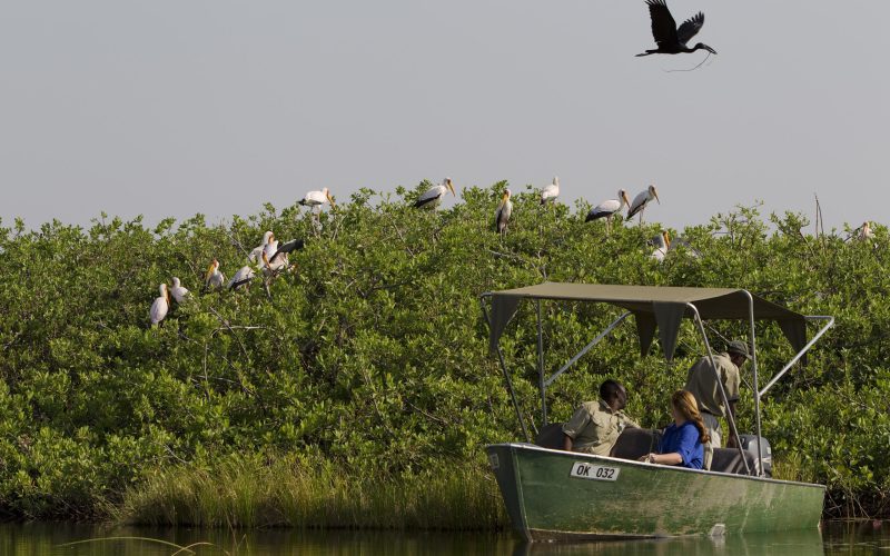 HeronryMaribStorksBoat_Kan_5505