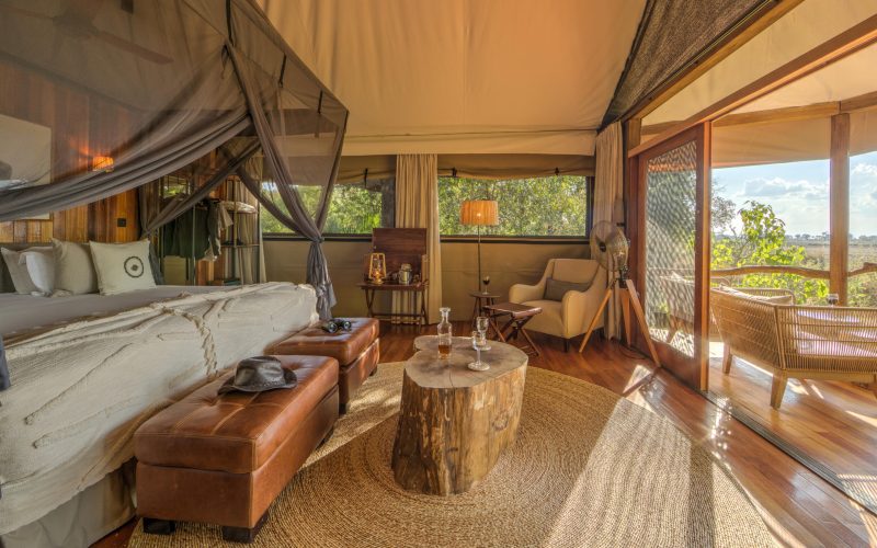 Spacious twin bedded saari tents