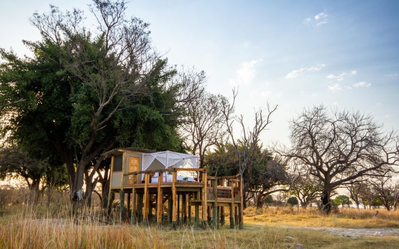 camp_okavango_sleep_out-4-21