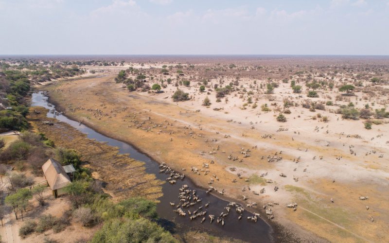 leroo_aerial-231