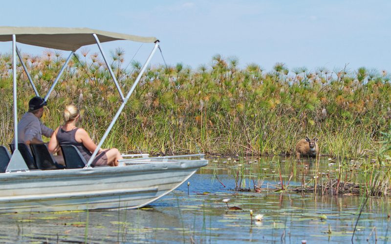 okavango_delta_-_motorboat_safari-04