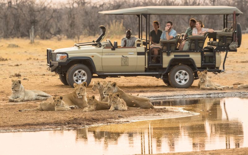 savute_game_drive-11