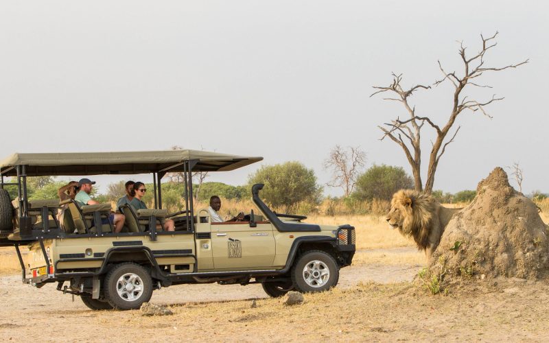 savute_game_drive-62
